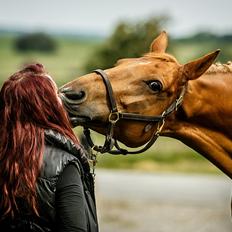 Anden særlig race | TALOU | MY SOULMATE