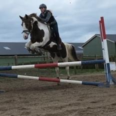 Pinto Cassiopeia sunrise