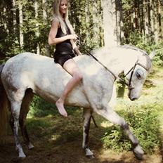 New Forest Marrondales Country Love