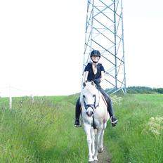 Anden særlig race Turgon