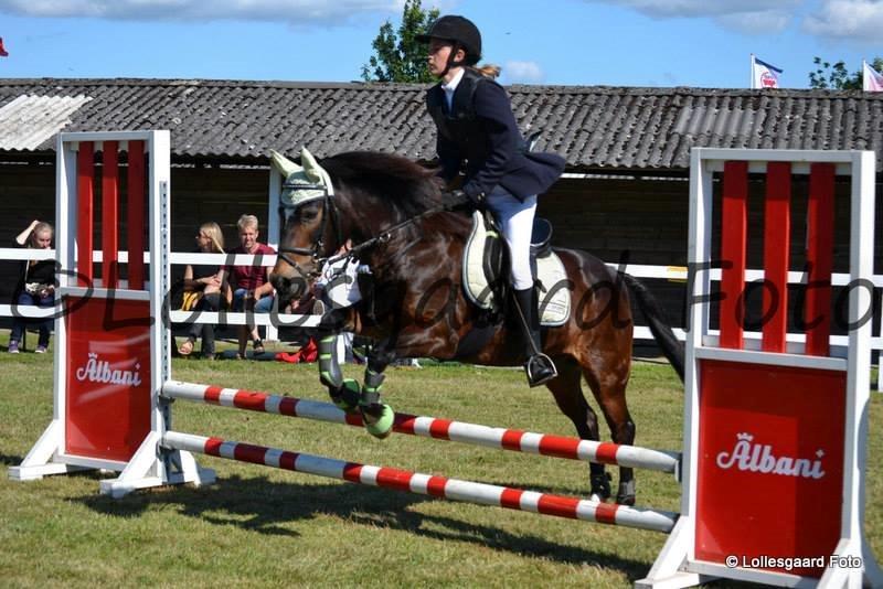 Anden særlig race Cavan - Det fynske børnedyreskue 2014 billede 14