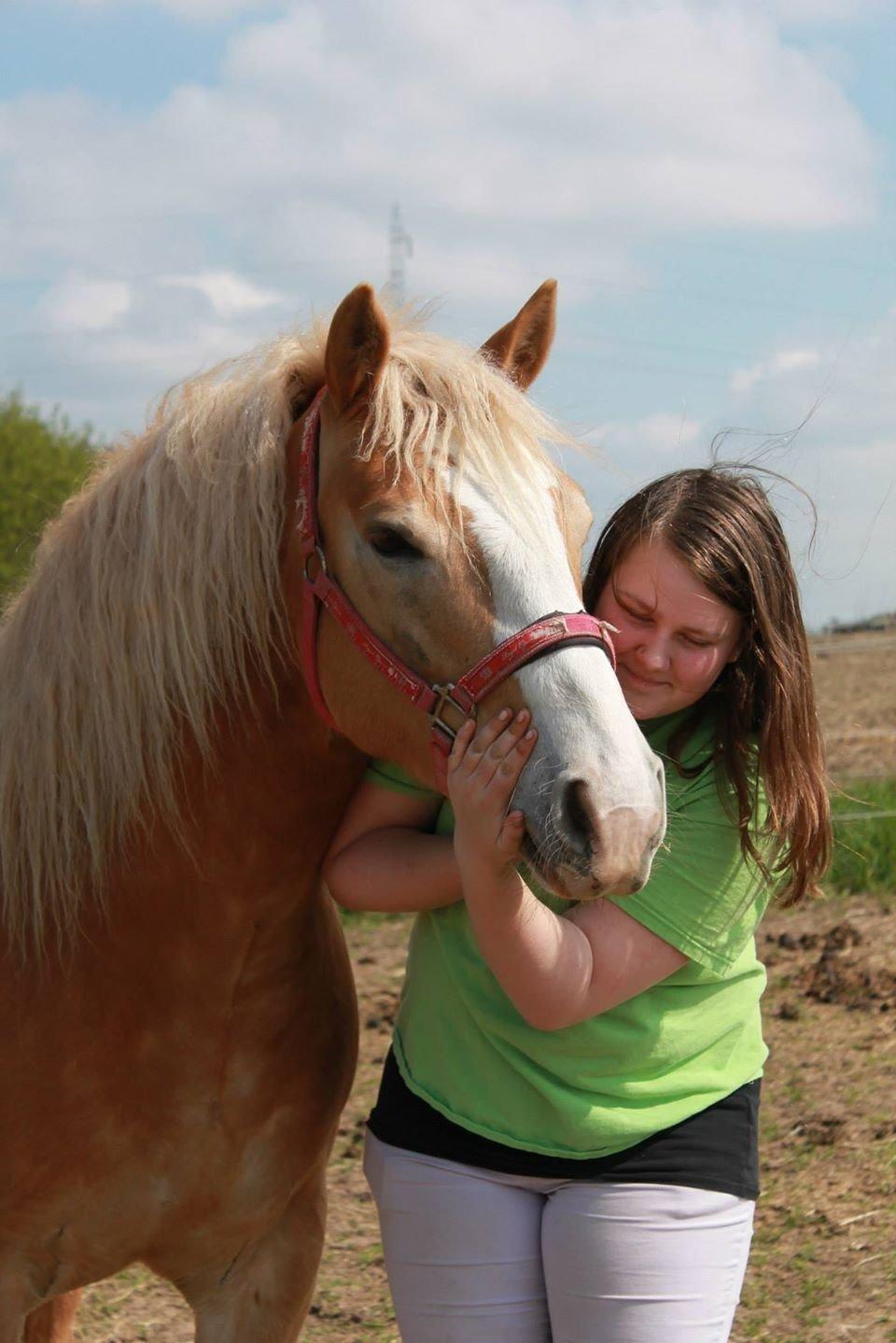 Haflinger Wonder<3 - Min bedsteven! Min alting! Ligemeget hvad er han bare mit lys..  billede 21