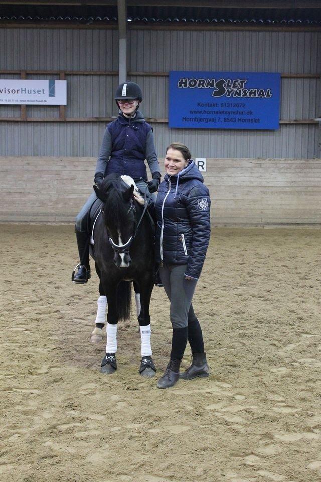 New Forest Iris B-PONY - Sammen med idolet Lone Bang Larsen <3 billede 6