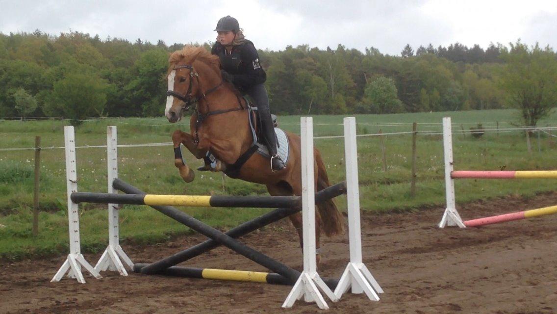 Anden særlig race Eponine!*<3 den bedste pony!<3 billede 3