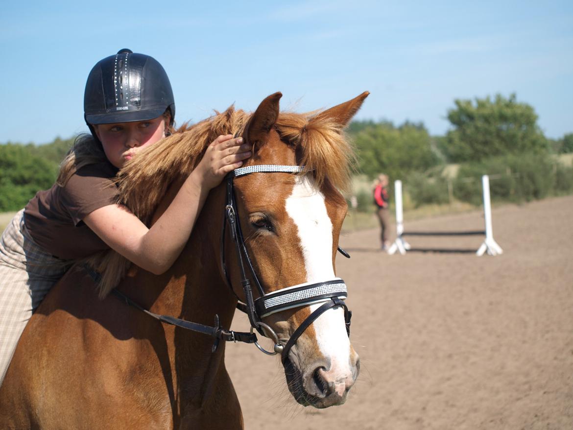 Anden særlig race Eponine!*<3 den bedste pony!<3 billede 12