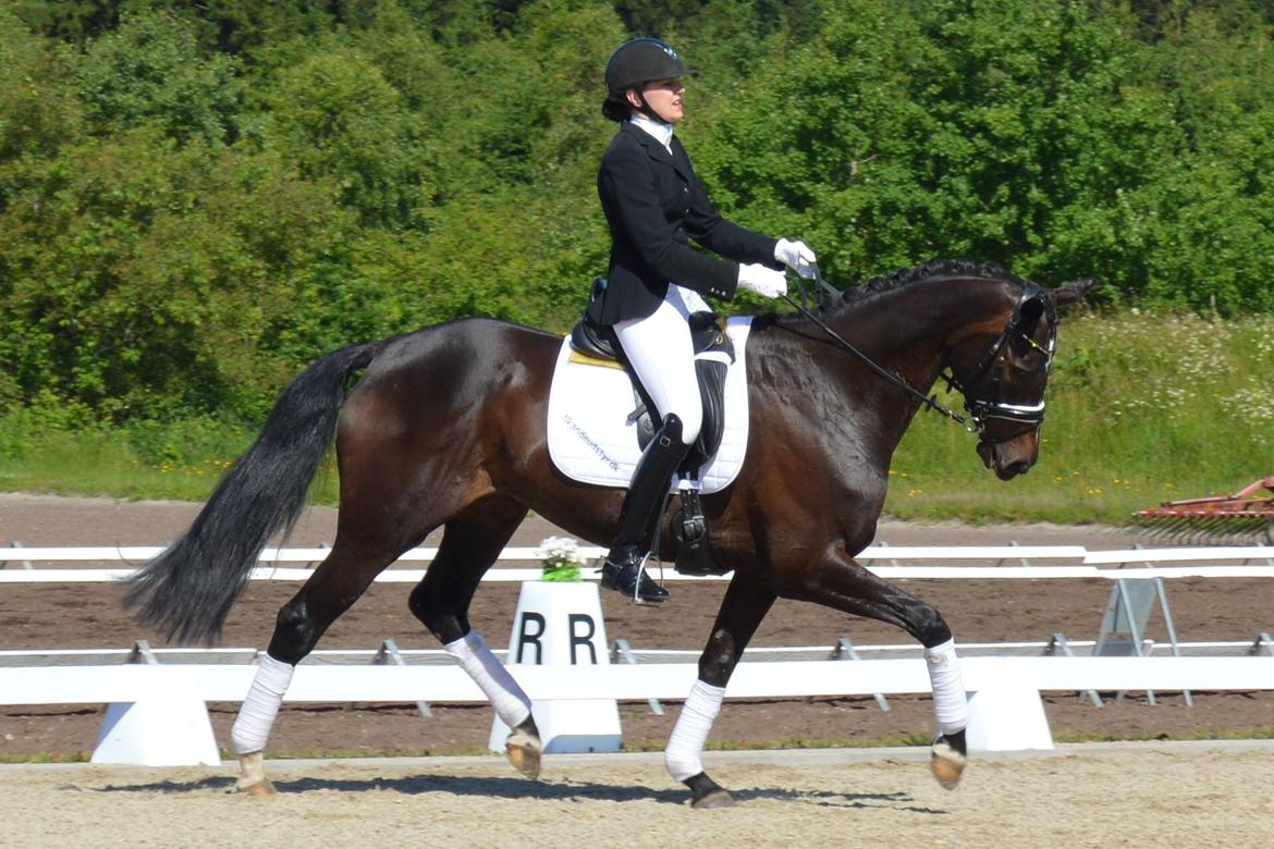 Dansk Varmblod Stenholt Amilla - Sydjysk Mesterskab Juni indv 2014 billede 11