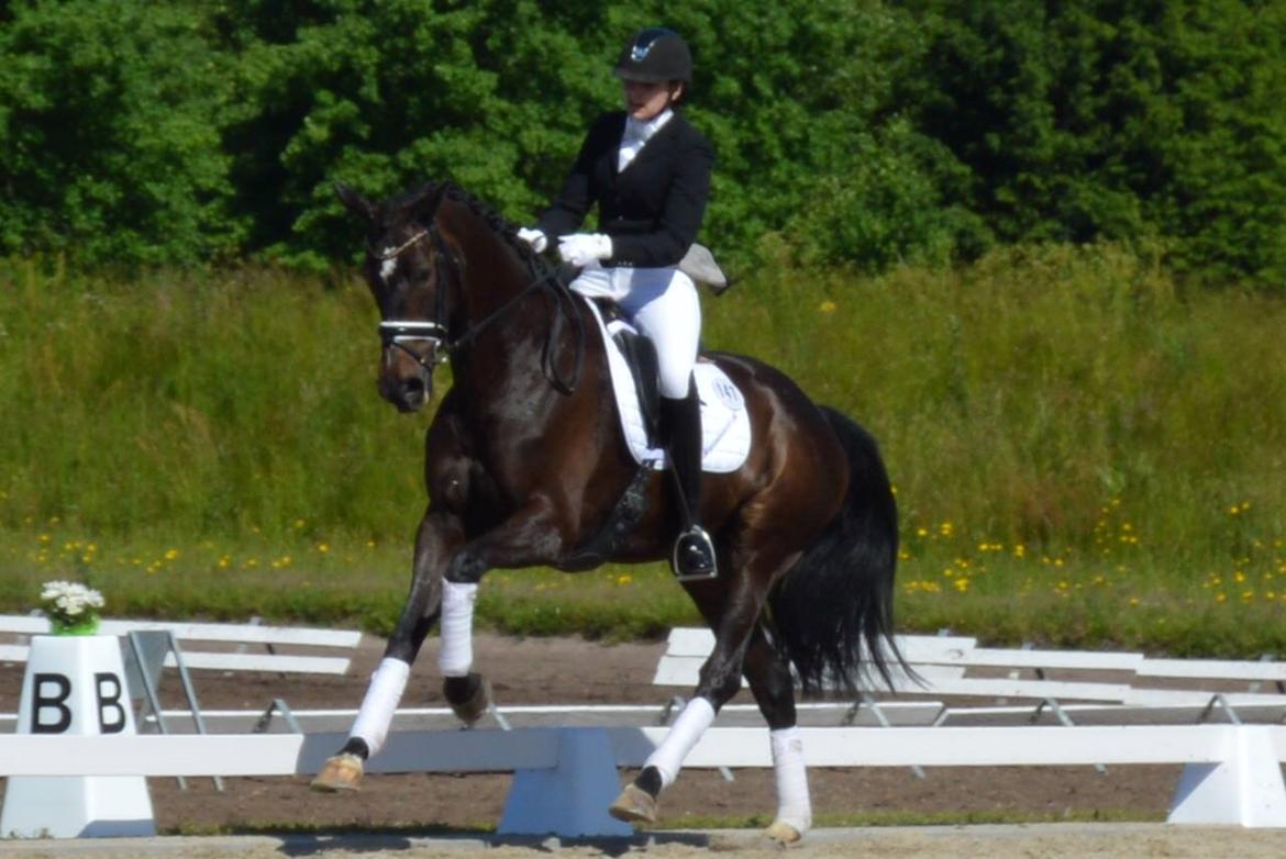 Dansk Varmblod Stenholt Amilla - Sydjysk Mesterskab Indv Juni 2014 billede 10