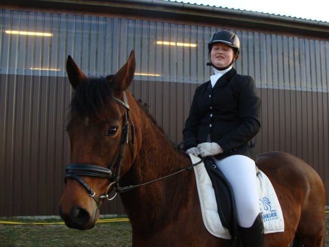 Dansk Varmblod Chilli Nørrekær - Første Dressur stævne billede 16