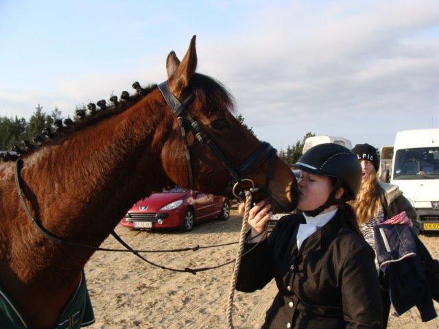 Dansk Varmblod Chilli Nørrekær - Første Dressur stævne billede 14