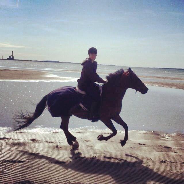 Anden særlig race Shorty - Stranden på stjernen <3 billede 2