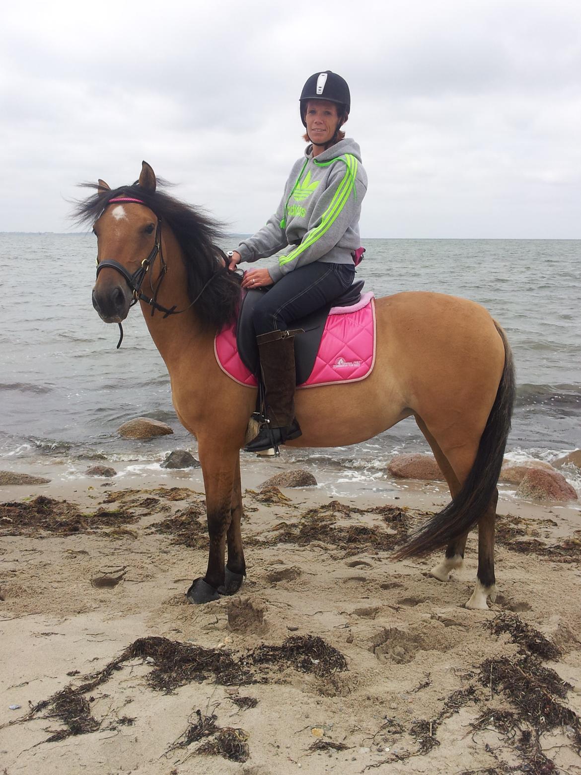 Anden særlig race Unica star billede 6