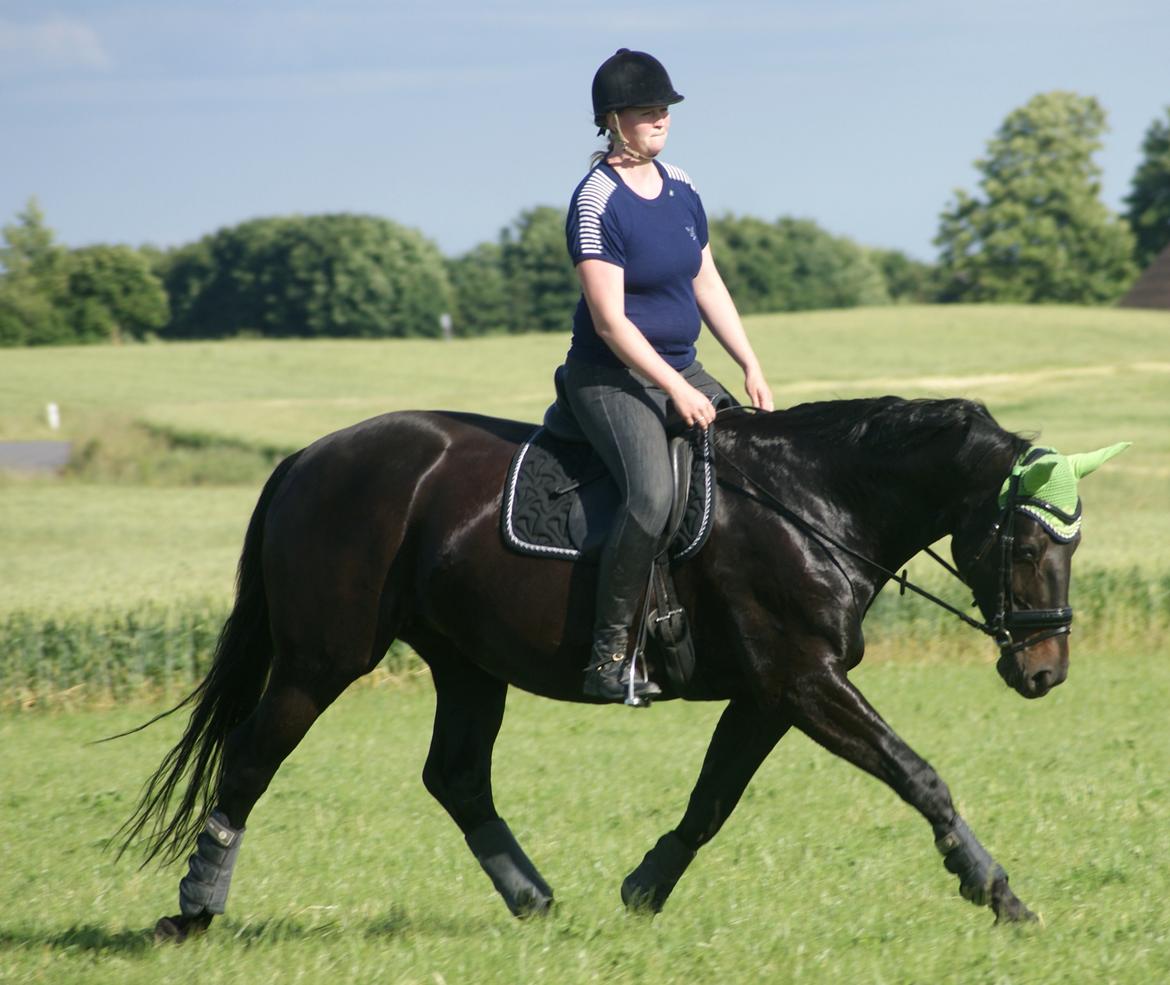 Oldenborg Millers LaMica billede 17