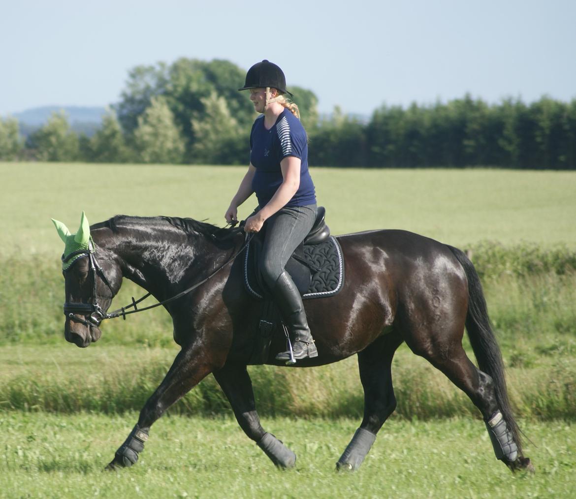 Oldenborg Millers LaMica billede 18