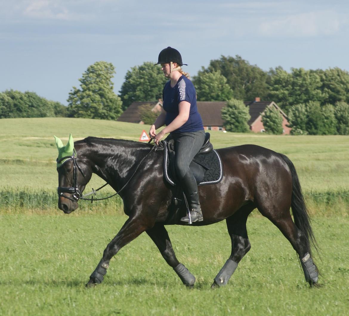 Oldenborg Millers LaMica billede 19