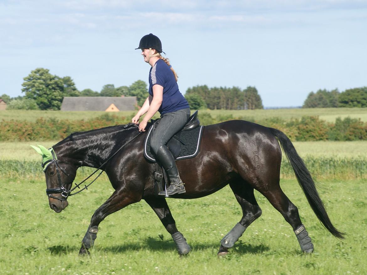 Oldenborg Millers LaMica billede 20