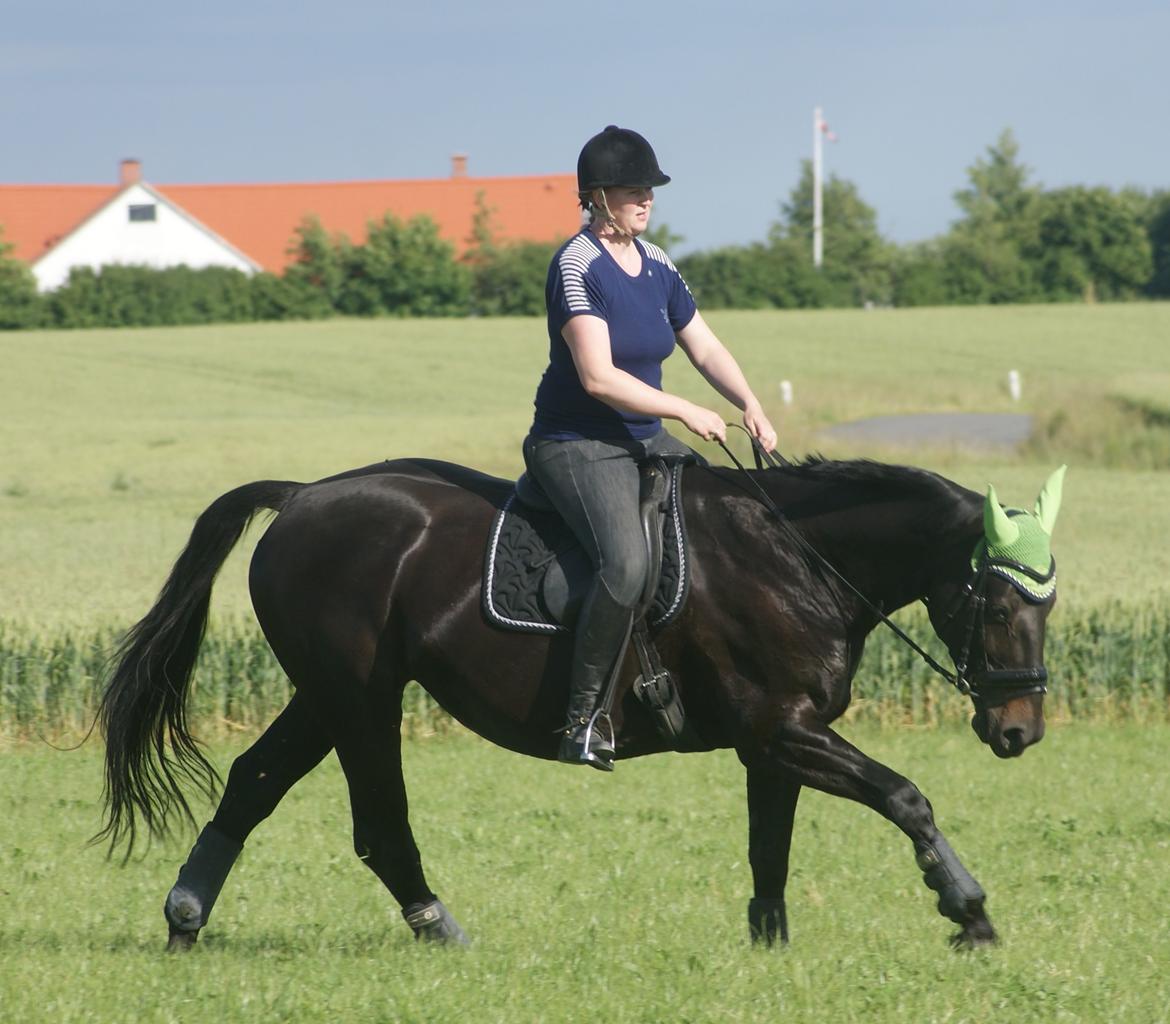 Oldenborg Millers LaMica billede 16