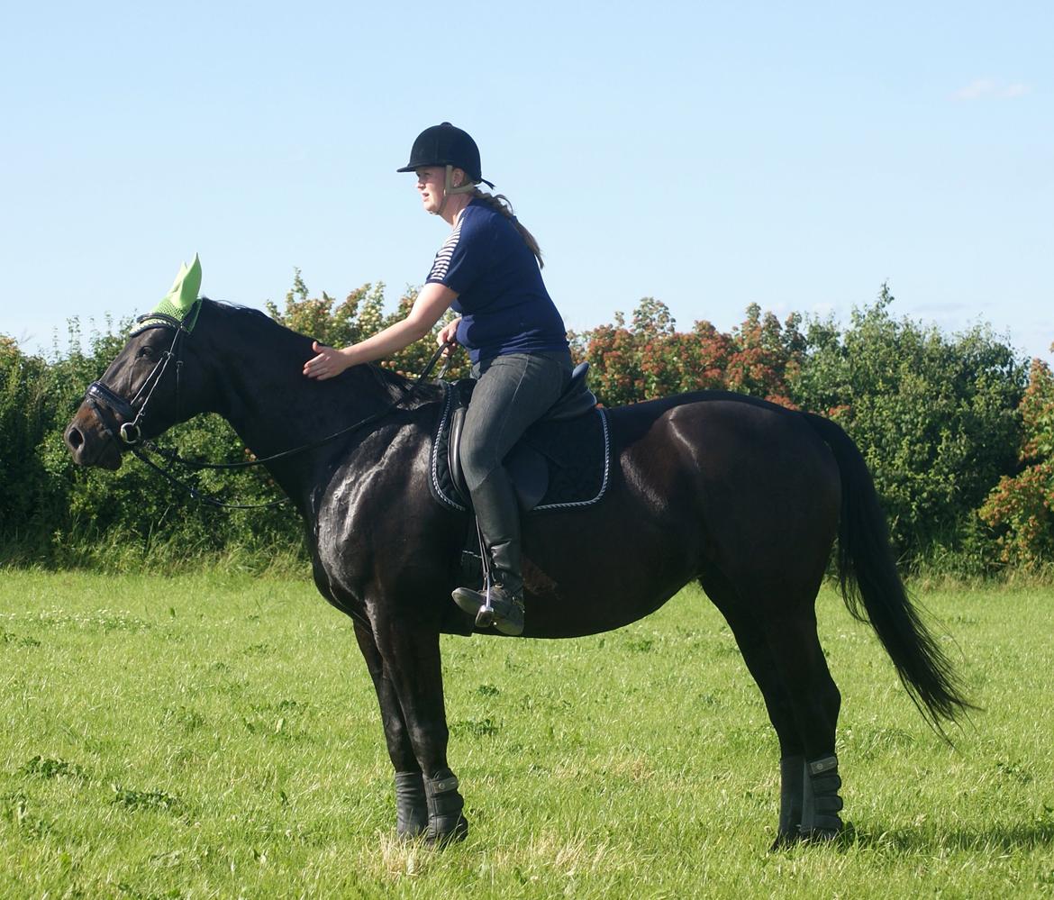 Oldenborg Millers LaMica billede 21