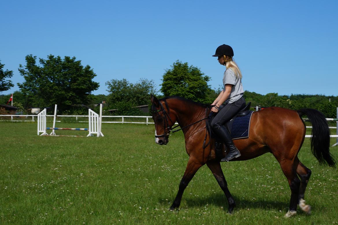 Anden særlig race Frej <3 *stjernen* billede 13