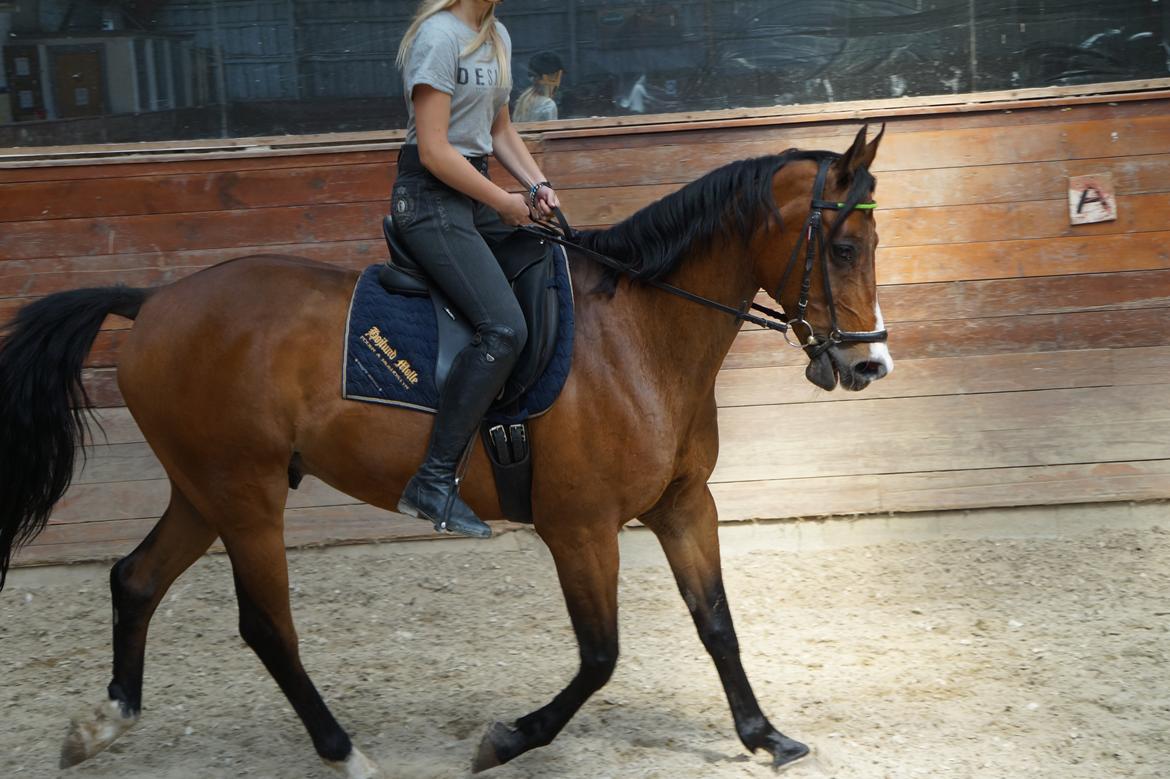 Anden særlig race Frej <3 *stjernen* billede 12