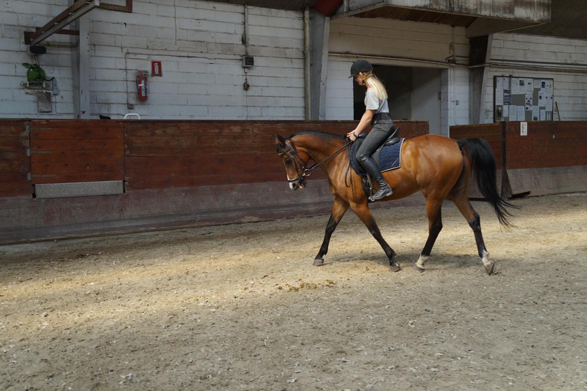 Anden særlig race Frej <3 *stjernen* billede 15