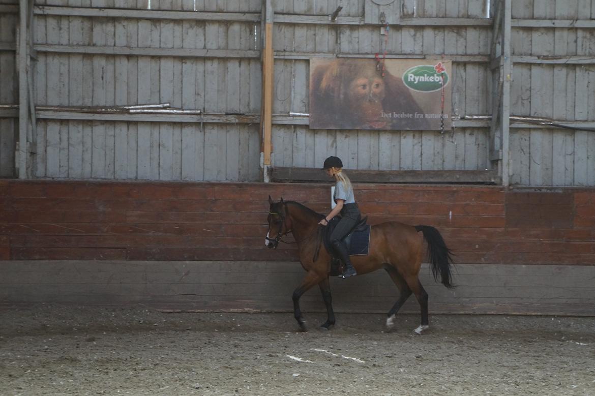 Anden særlig race Frej <3 *stjernen* billede 14