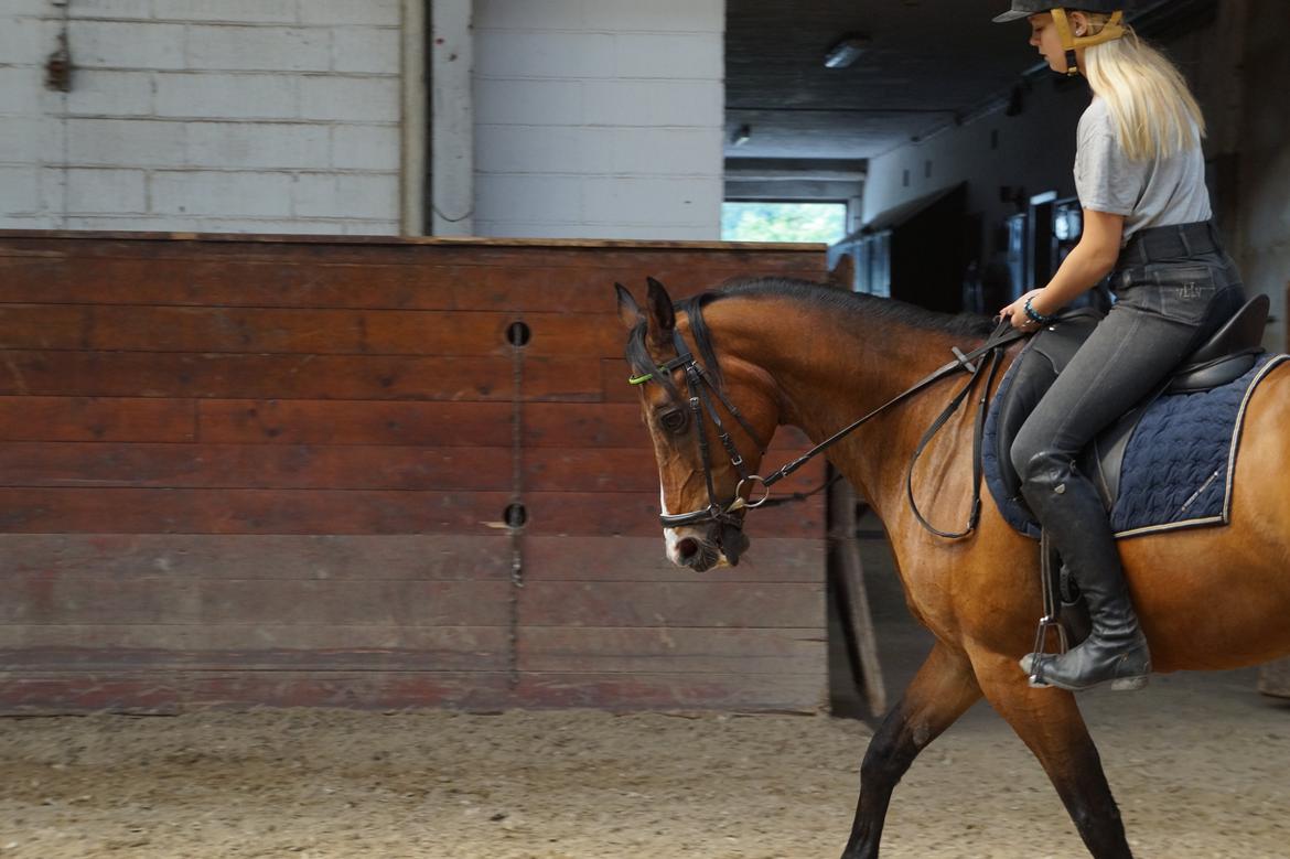 Anden særlig race Frej <3 *stjernen* billede 17