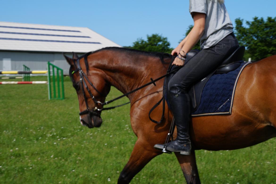 Anden særlig race Frej <3 *stjernen* billede 20