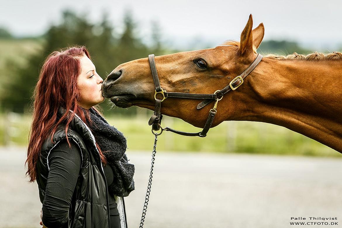 Anden særlig race | TALOU | MY SOULMATE billede 1