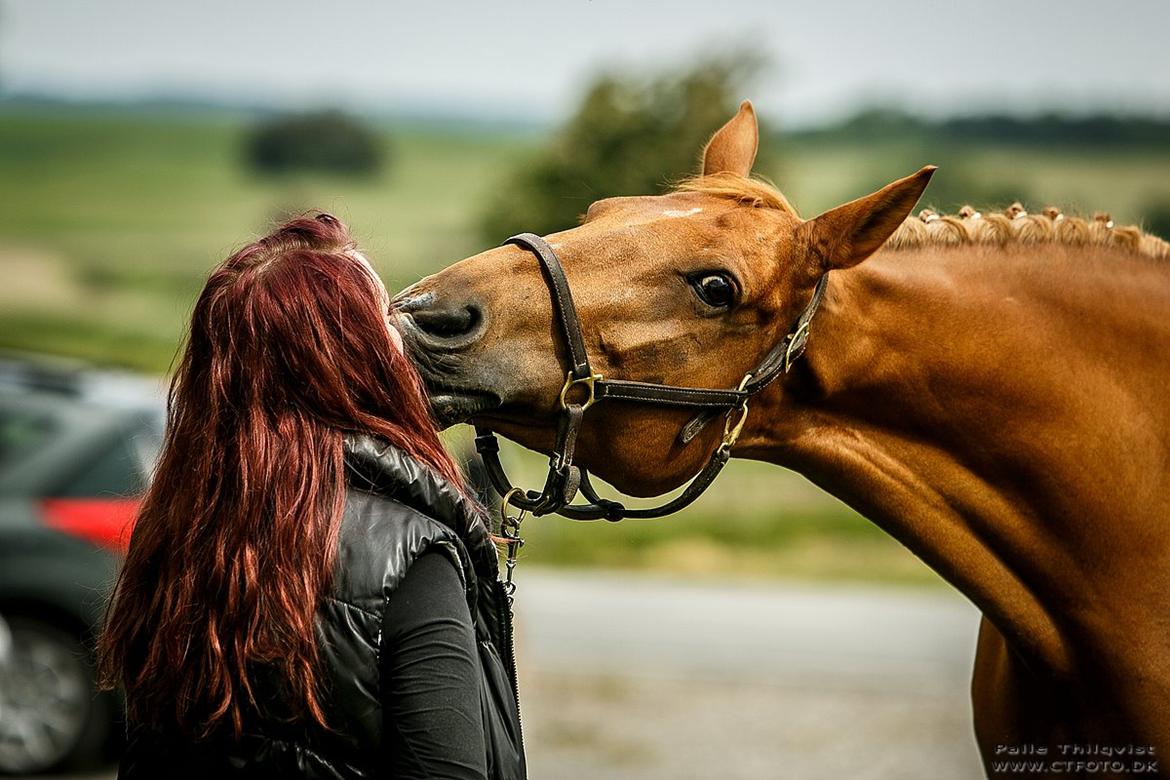 Anden særlig race | TALOU | MY SOULMATE billede 3