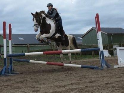 Pinto Cassiopeia sunrise billede 1