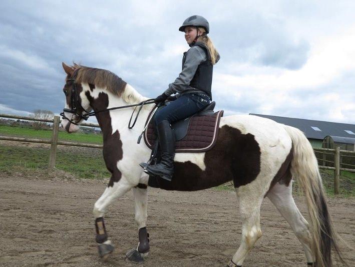 Pinto Cassiopeia sunrise billede 2