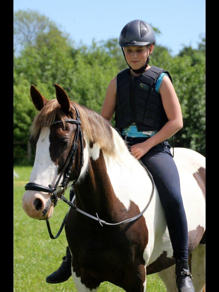 Pinto Cassiopeia sunrise billede 4