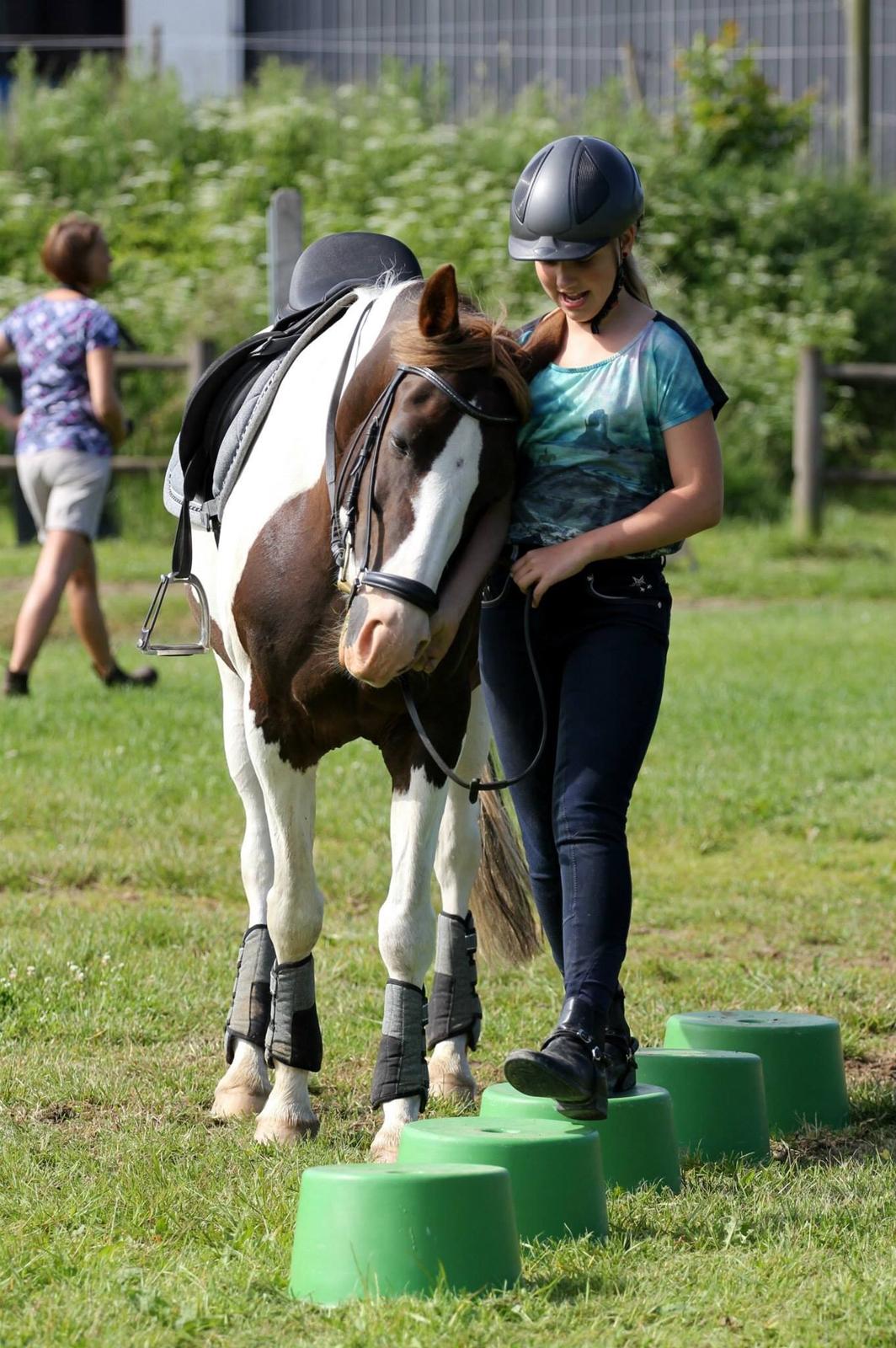 Pinto Cassiopeia sunrise billede 8