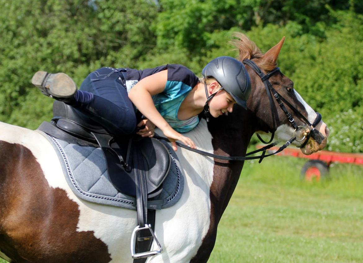 Pinto Cassiopeia sunrise billede 11