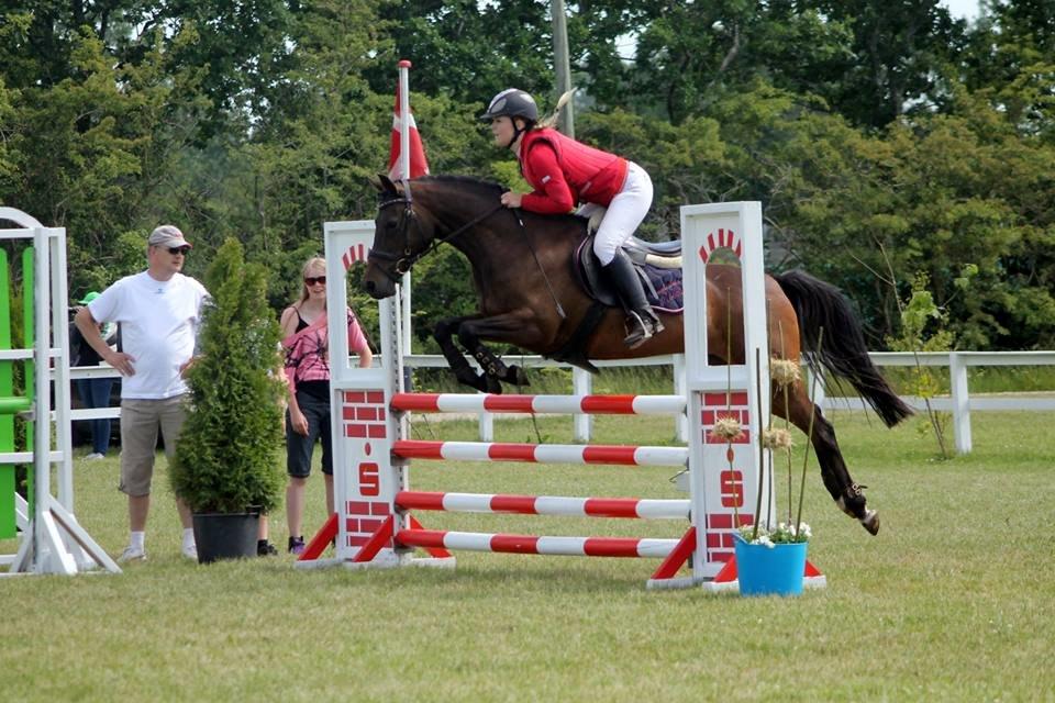 DSP Day-lights naomi - Første spring i anden runde<3 billede 8