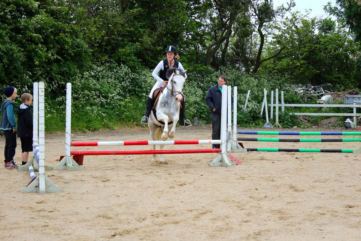 Anden særlig race • Lakota • billede 16