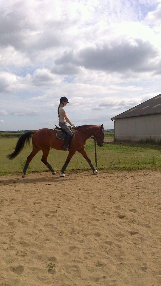 Traver Famous Skovbjerg billede 12