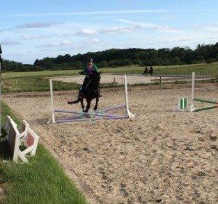 Trakehner Dalano - Første spring time nogen sinde og første spring. Taget den 20/6-2014 billede 11