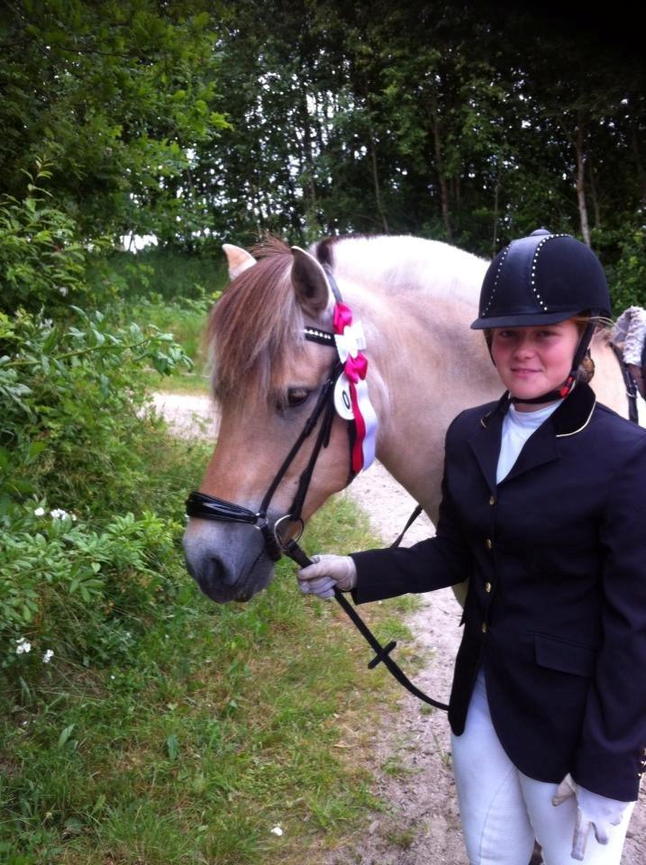 Fjordhest Tango!&lt;3 - Mig og Tango efter pr&#230;mie overr&#230;kkelse 1 plads!&lt;3 billede 17