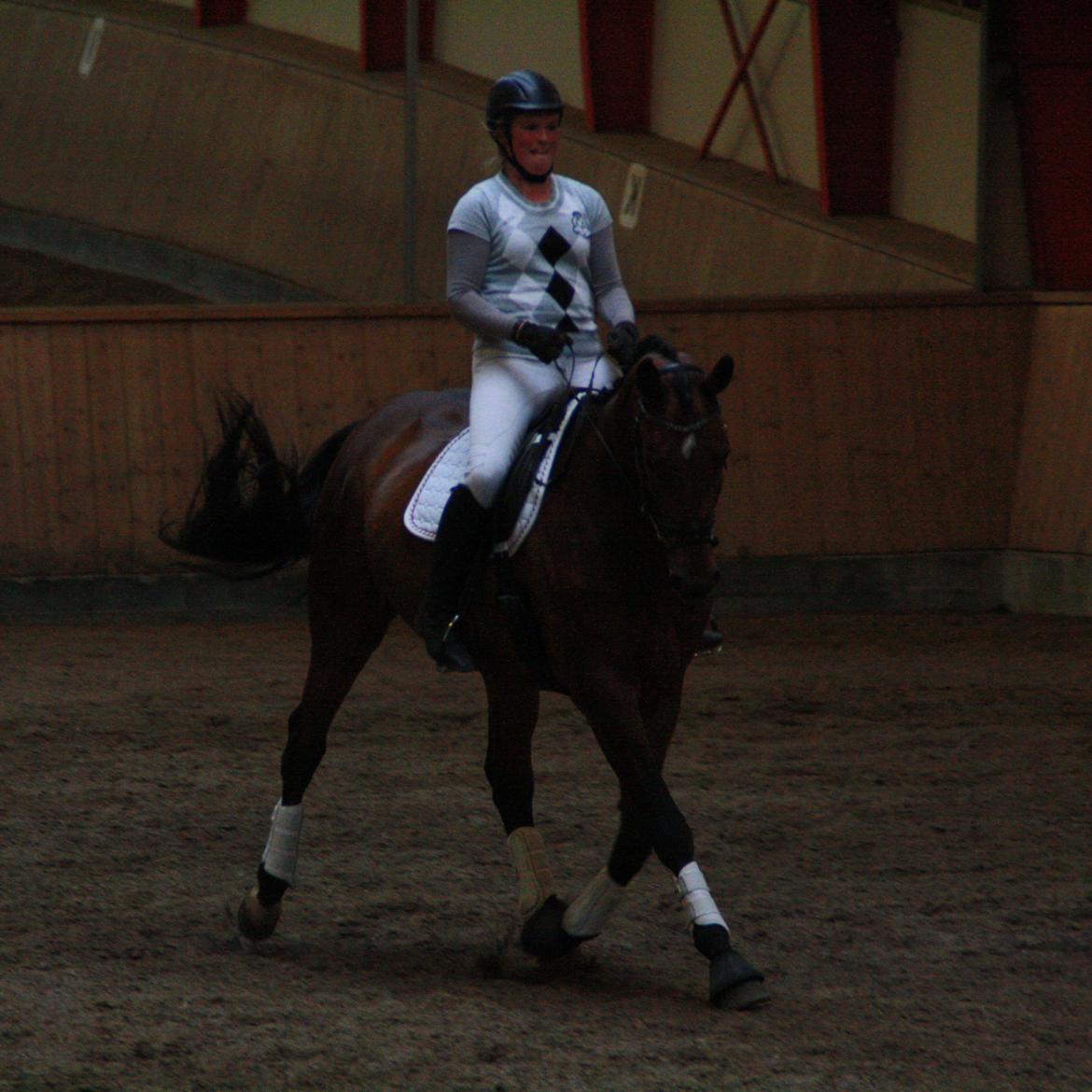 Dansk Varmblod Pauline Byhøj billede 13