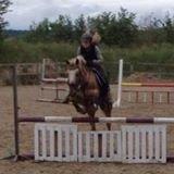 Knabstrupper Wonder Boy billede 4