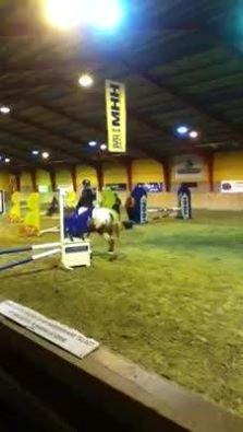 Knabstrupper Wonder Boy billede 7