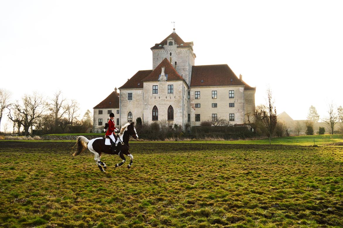Gelderland Santander billede 1