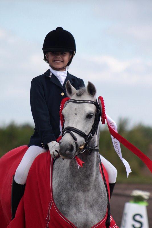 Welsh Pony (sec B) Clausholm Lord Joker Danmarksmester kat III 2015 - Sydjysk mester kat 3 dressur - min stjerne til 71 % billede 5