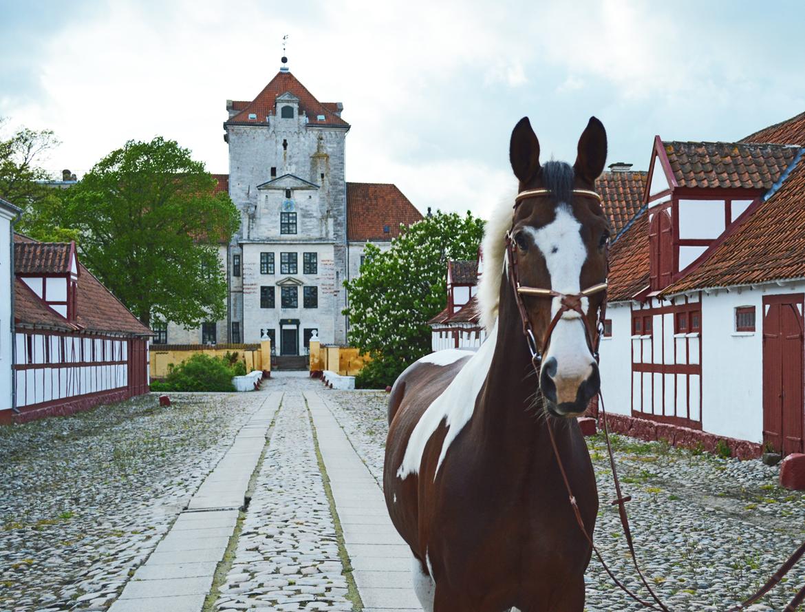 Gelderland Santander billede 4