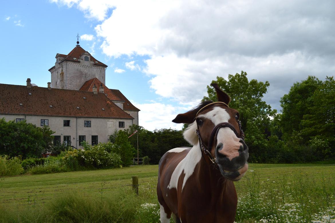 Gelderland Santander billede 8