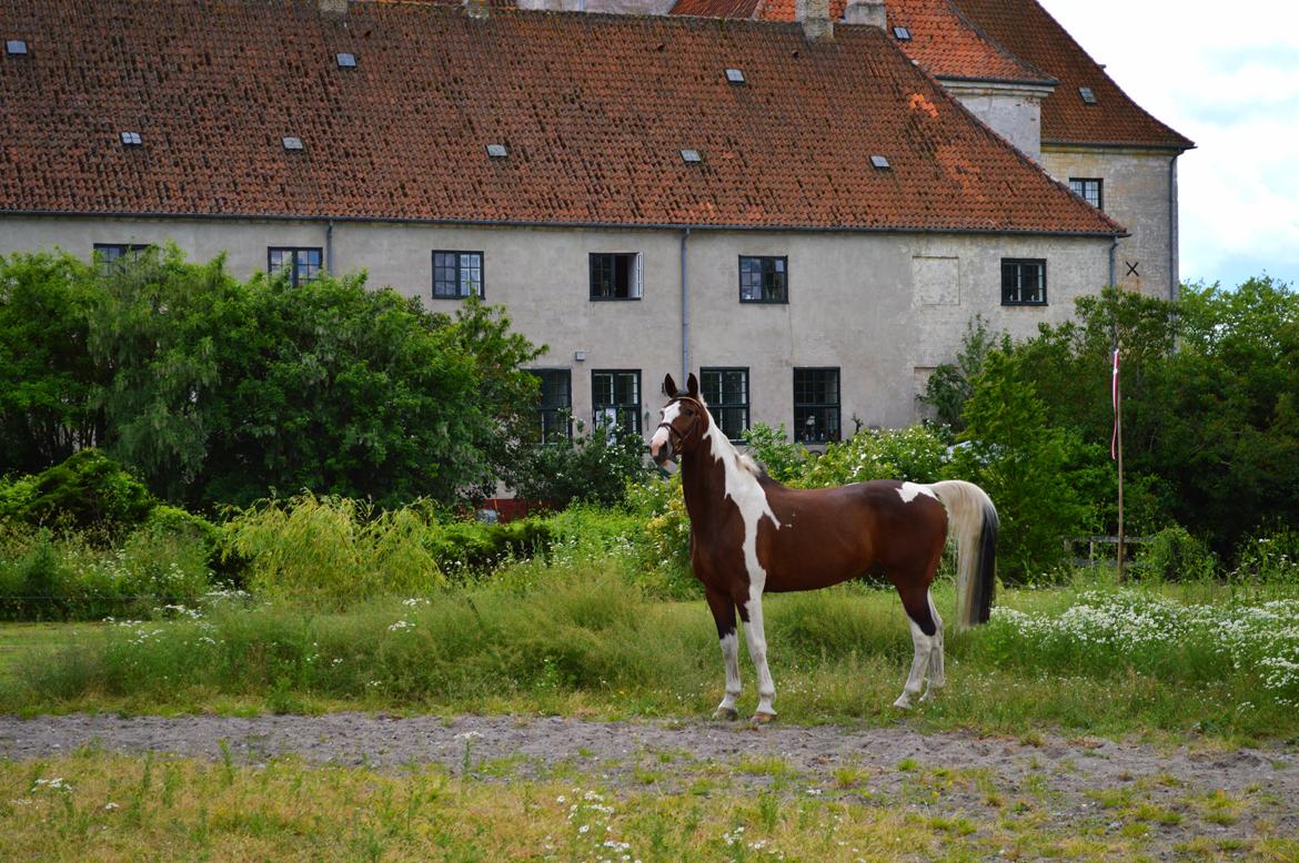 Gelderland Santander billede 9