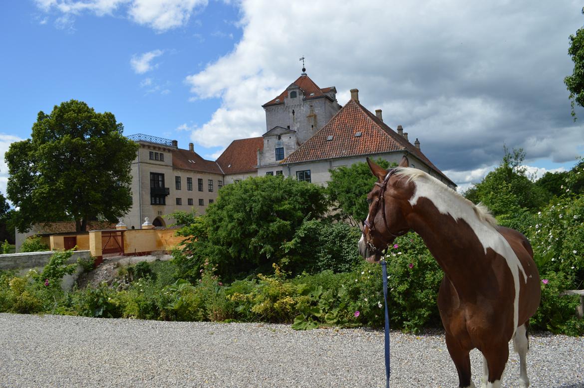 Gelderland Santander billede 11