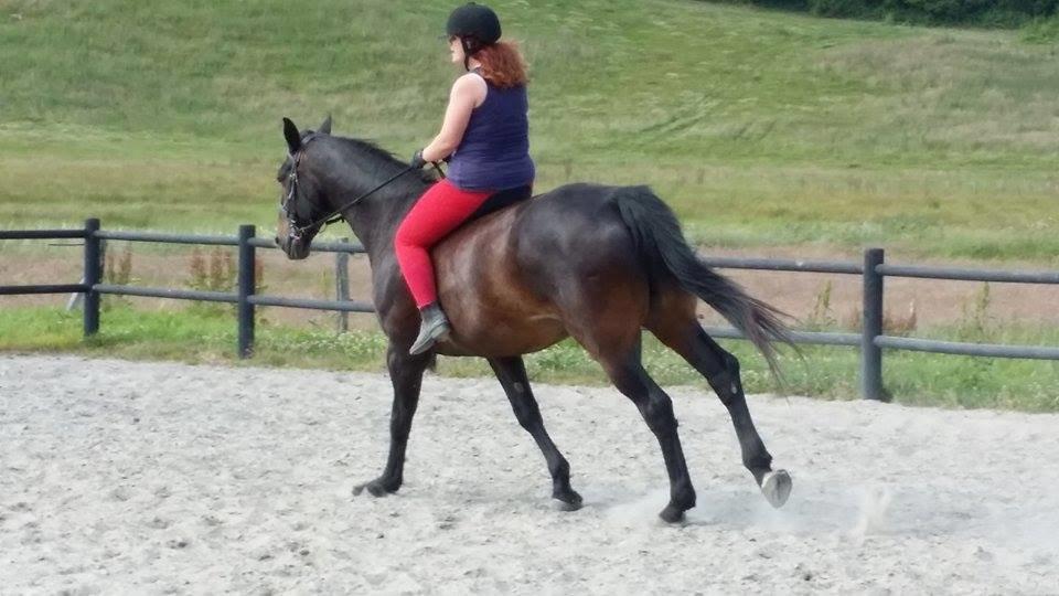 Oldenborg Urno <3 billede 16