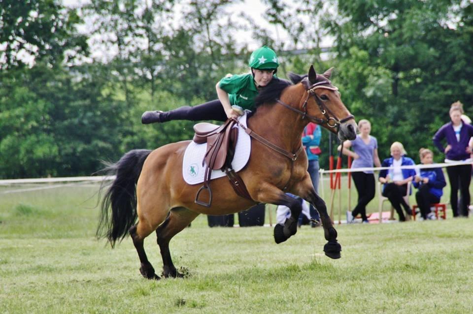 Hollandsk Sportspony Jasmijn billede 4